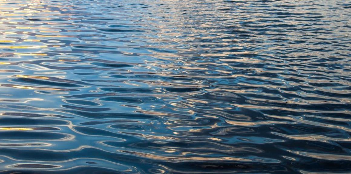 Ripples of water. Image credit: rootstock, Shutterstock.