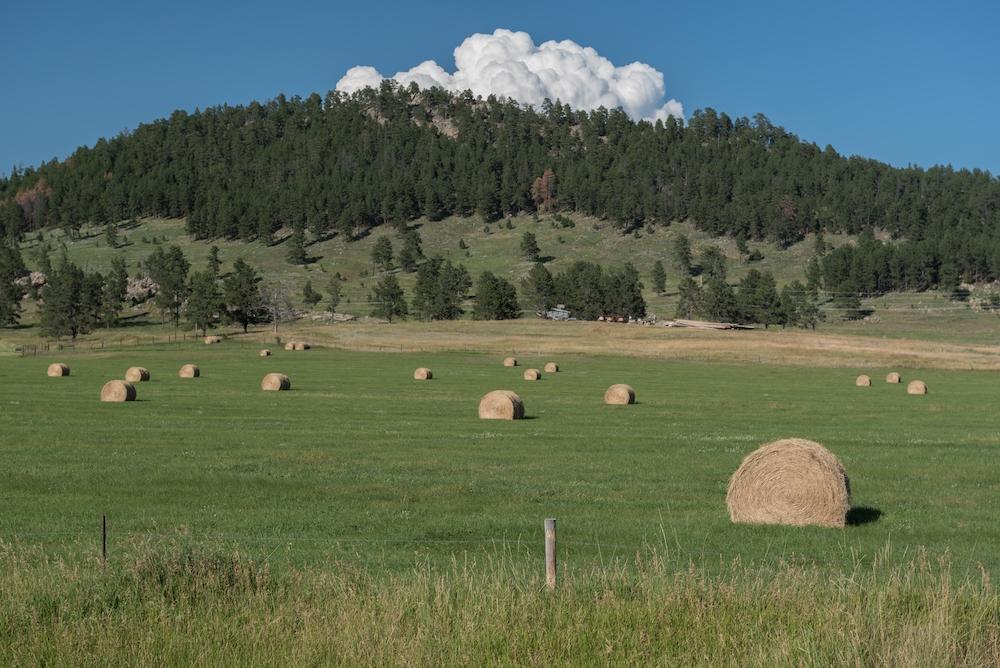 Hay bales in an open field in South Dakota. Photo credit: Panas Wiwatpanachat, Shutterstock.
