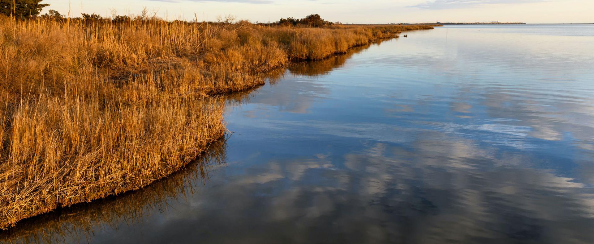 An ocean inlet with dry grasses along the water, representing drought. Photo credit: JuneJ, Shutterstock.