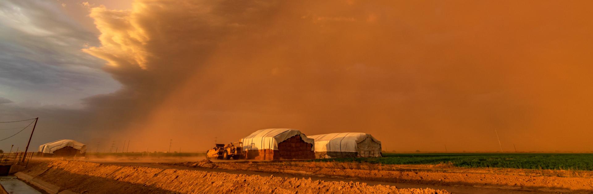 A dust storm over a farm in Arizona, representing drought impacts on respiratory mortality. Photo credit: Kyle Benne, Shutterstock.