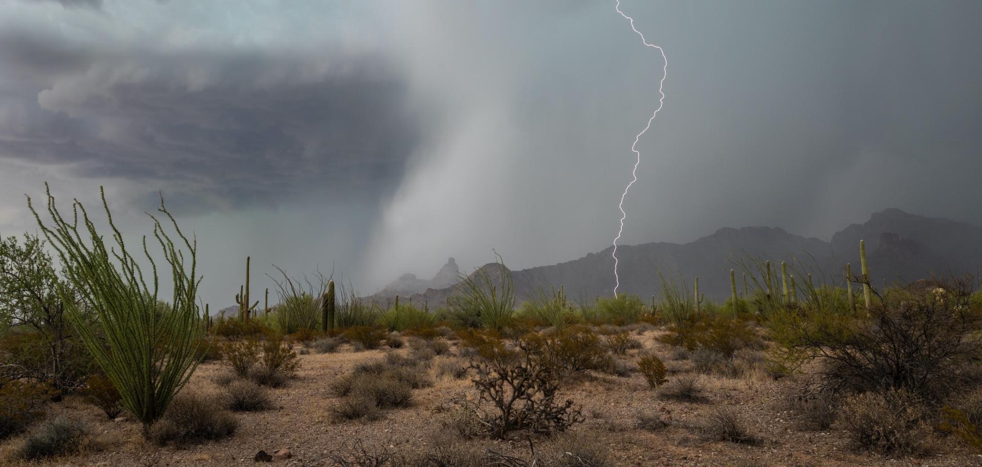 Lightning strikes during a storm in the Sonoran Desert. Photo credit: Shutterstock.