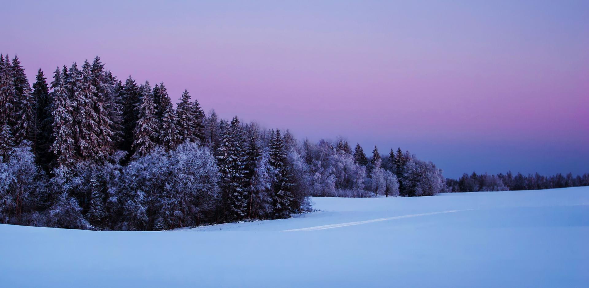 Snow covers the ground and trees, representing current snow conditions in the West. Image credit: gadag, Shutterstock.