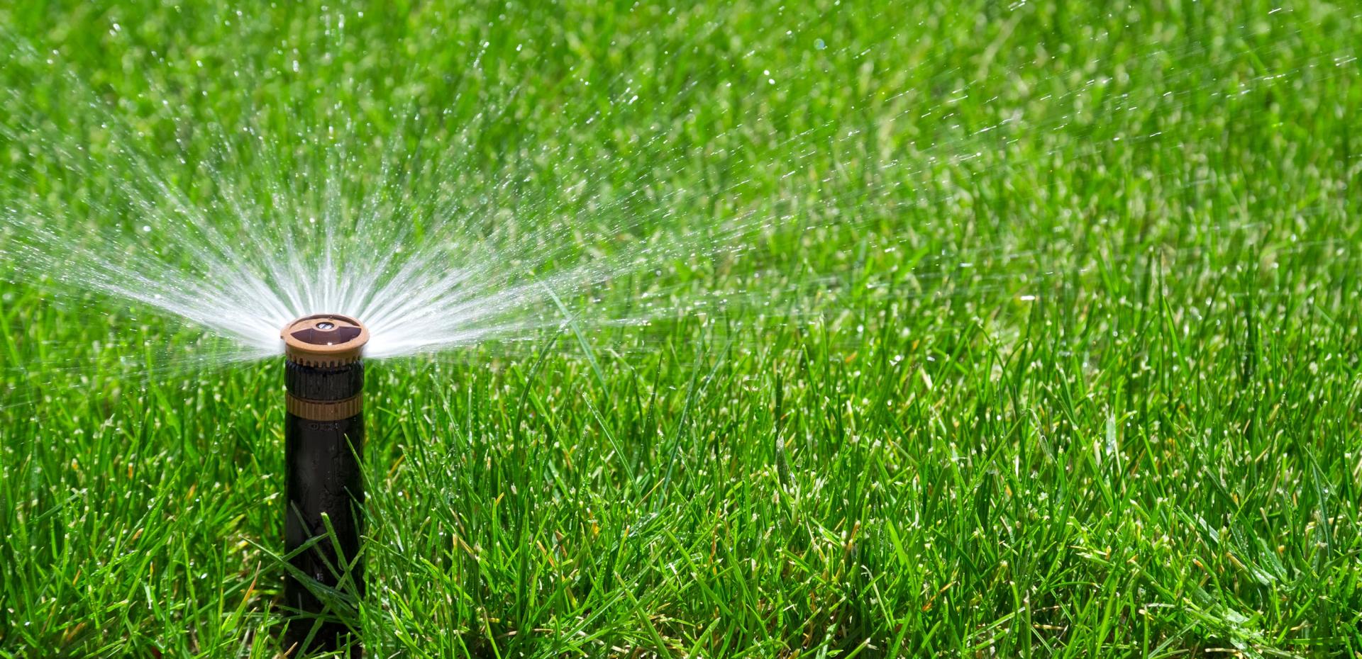 A sprinkler watering a lawn