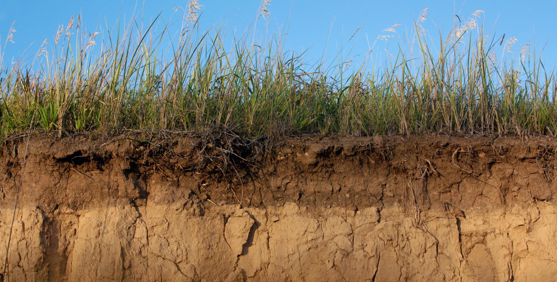 A cross section of dry soil, representing soil moisture.