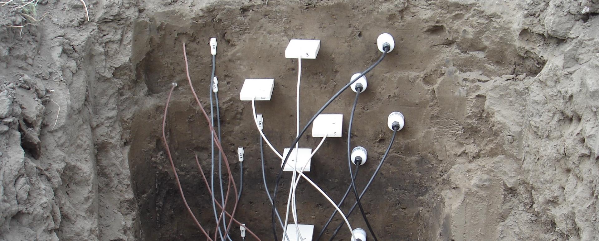 Soil moisture probes in the soil.