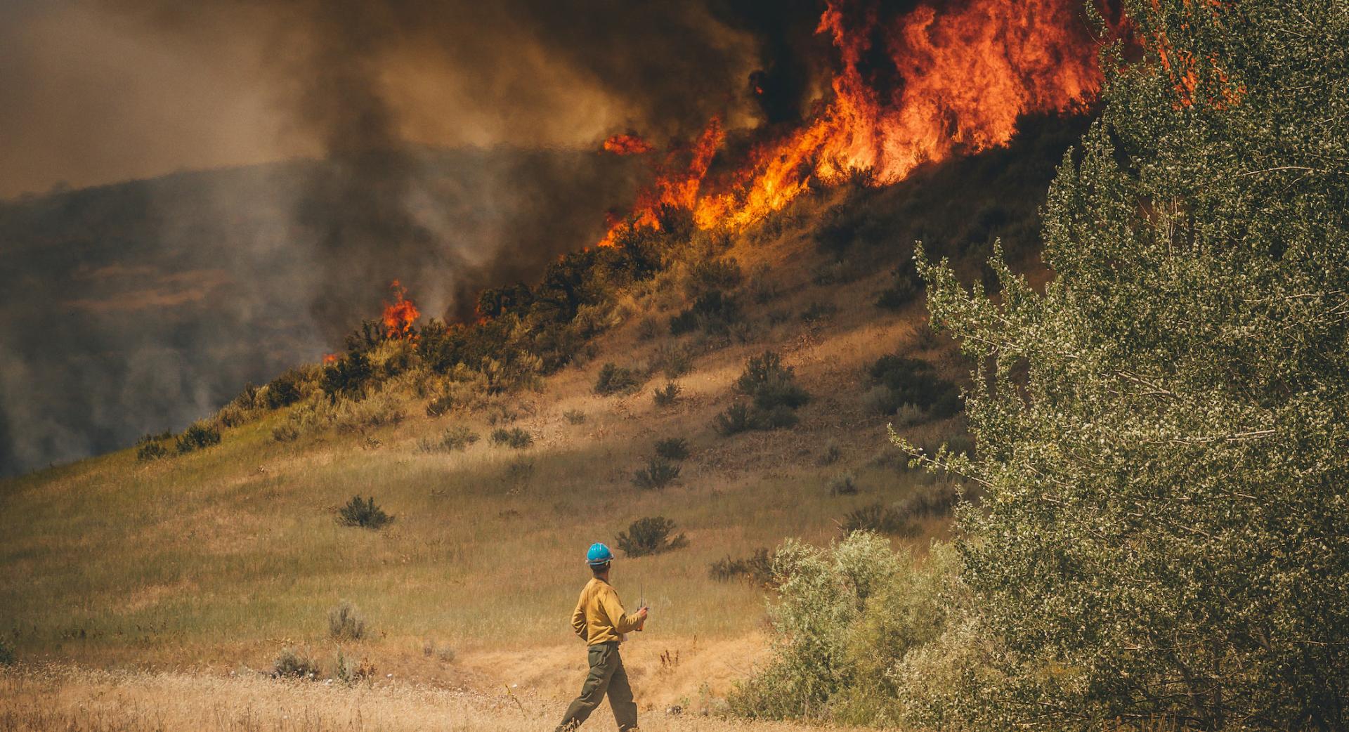 Firefighter working on a fire line