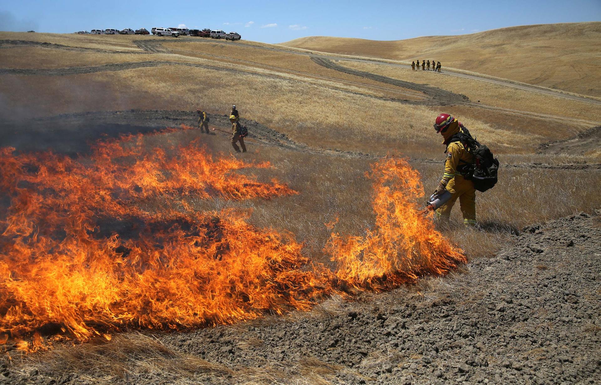 Fire fighters putting out fire, representing the wildfire management sector.