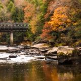 A bridge over water, surrounded by fall foliage, in Swallow Falls State Park in western Maryland. Photo credit: Nathaniel Gonzales, Adobe Stock.