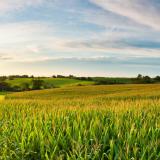Farmland in the Midwest U.S.