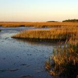 A marsh in Pawleys Island, South Carolina