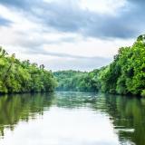 Chattahoochee River and trees on a cloudy day