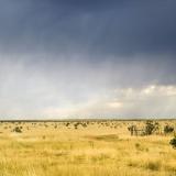 Windmill in a Texas field with a storm approaching