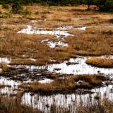 Example of hydrological drought. Low water levels in Alaska at the end of a drought.