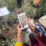 A woman performs a soil color test. Photo credit: Elise Osenga.