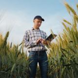 A farmer standing in a field of crops holding a clipboard. Photo credit: DiedovStock, Adobe Stock.