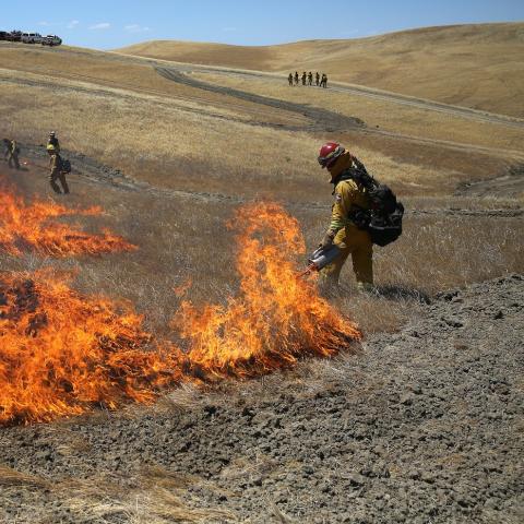 Firefighters conduct a live fire training