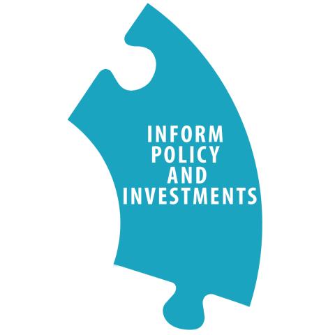 Informing Policy and Investments is one of the five characteristics of an IIS.
