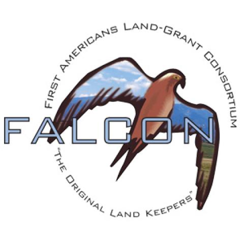 FALCON logo.