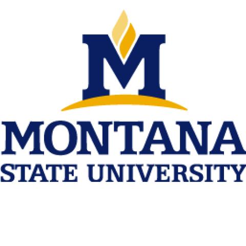 Montana State University