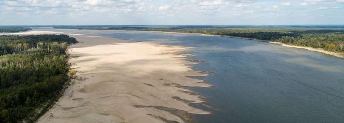 Sandy bank of the Mississippi River during low water conditions.