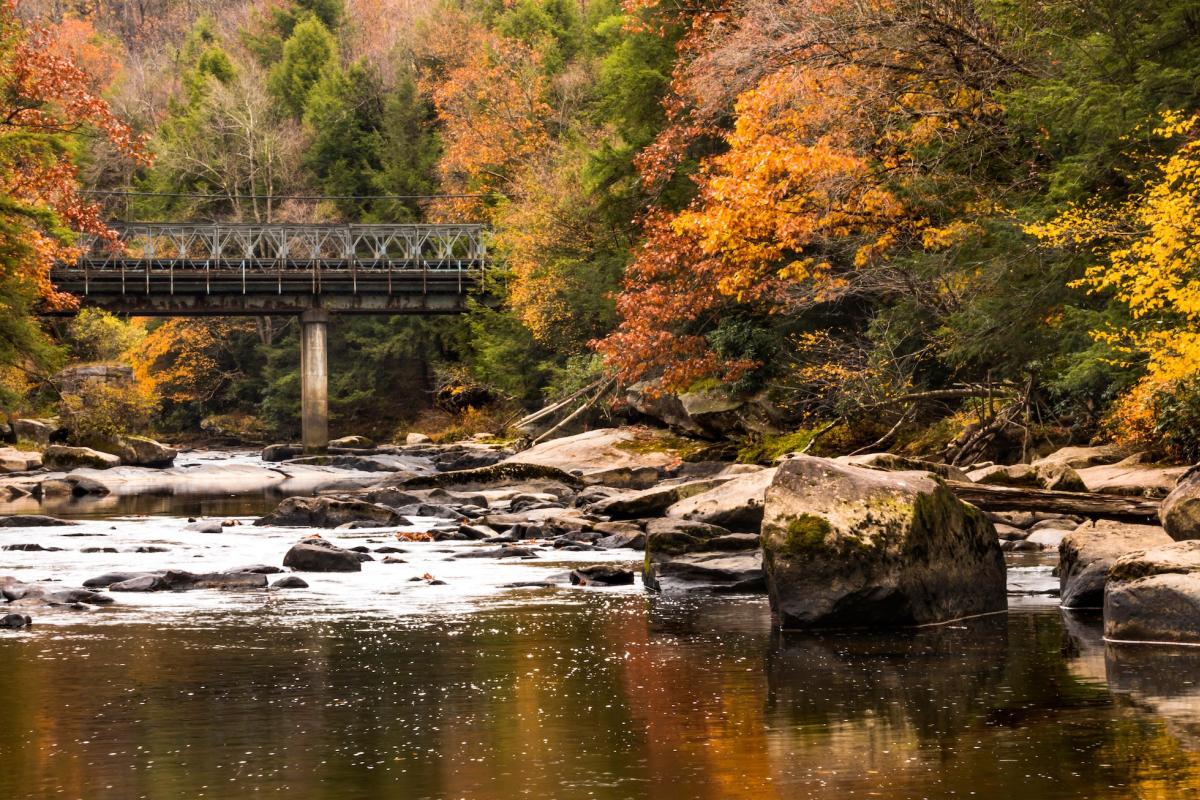 A bridge over water, surrounded by fall foliage, in Swallow Falls State Park in western Maryland. Photo credit: Nathaniel Gonzales, Adobe Stock.