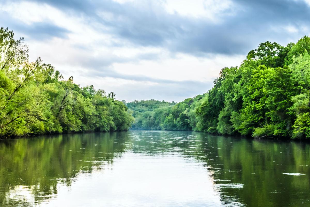Chattahoochee River and trees on a cloudy day
