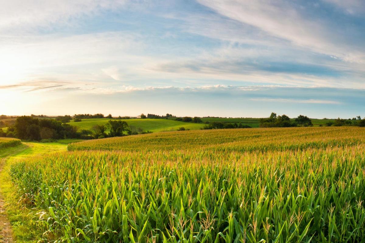 Farmland in the Midwest U.S.