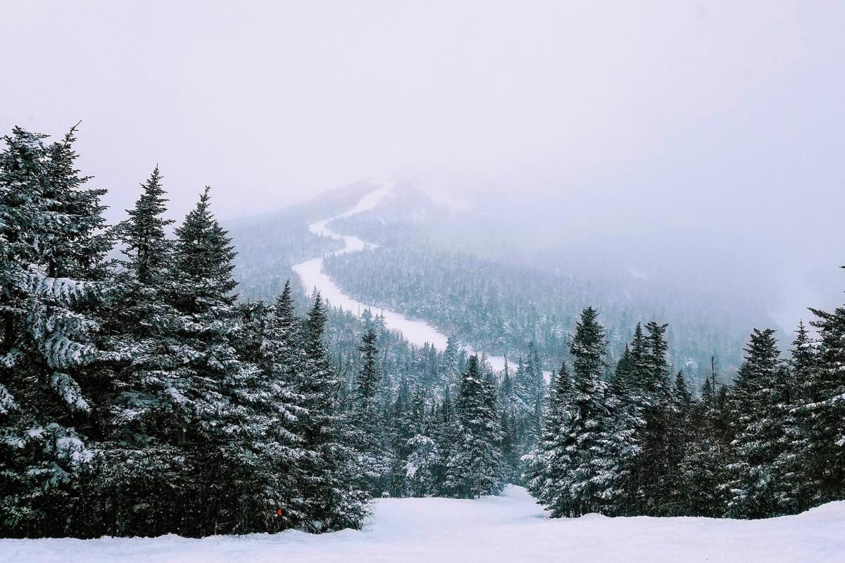 Snow-covered trees in Vermont