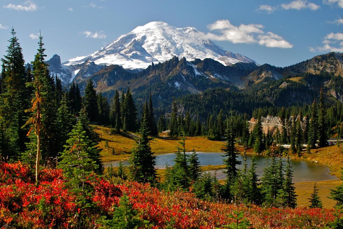 Landscape with green trees and a lake in front of mountains in the Pacific Northwest