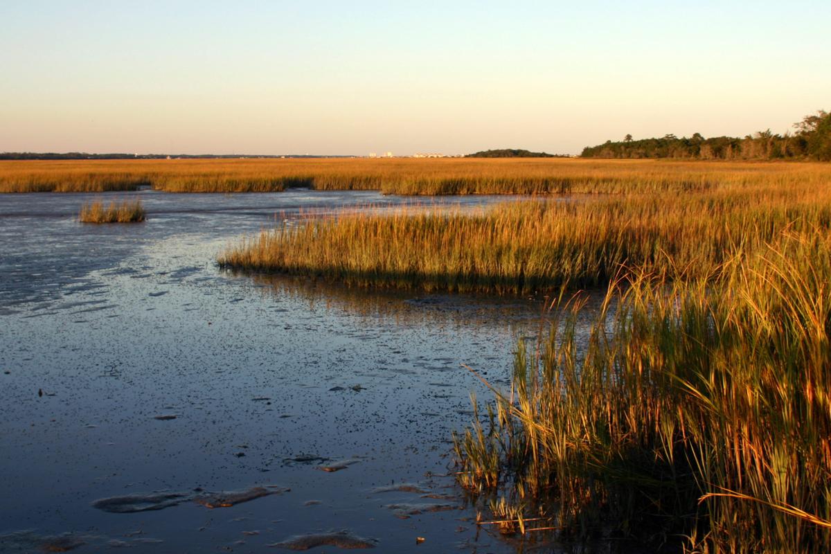 Sunset over creek marsh in Pawleys Island, South Carolina. Photo credit: Heather Gloria, Shutterstock.