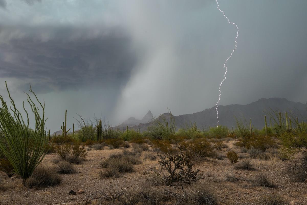 Lightning strikes in the Sonoran Desert in Arizona