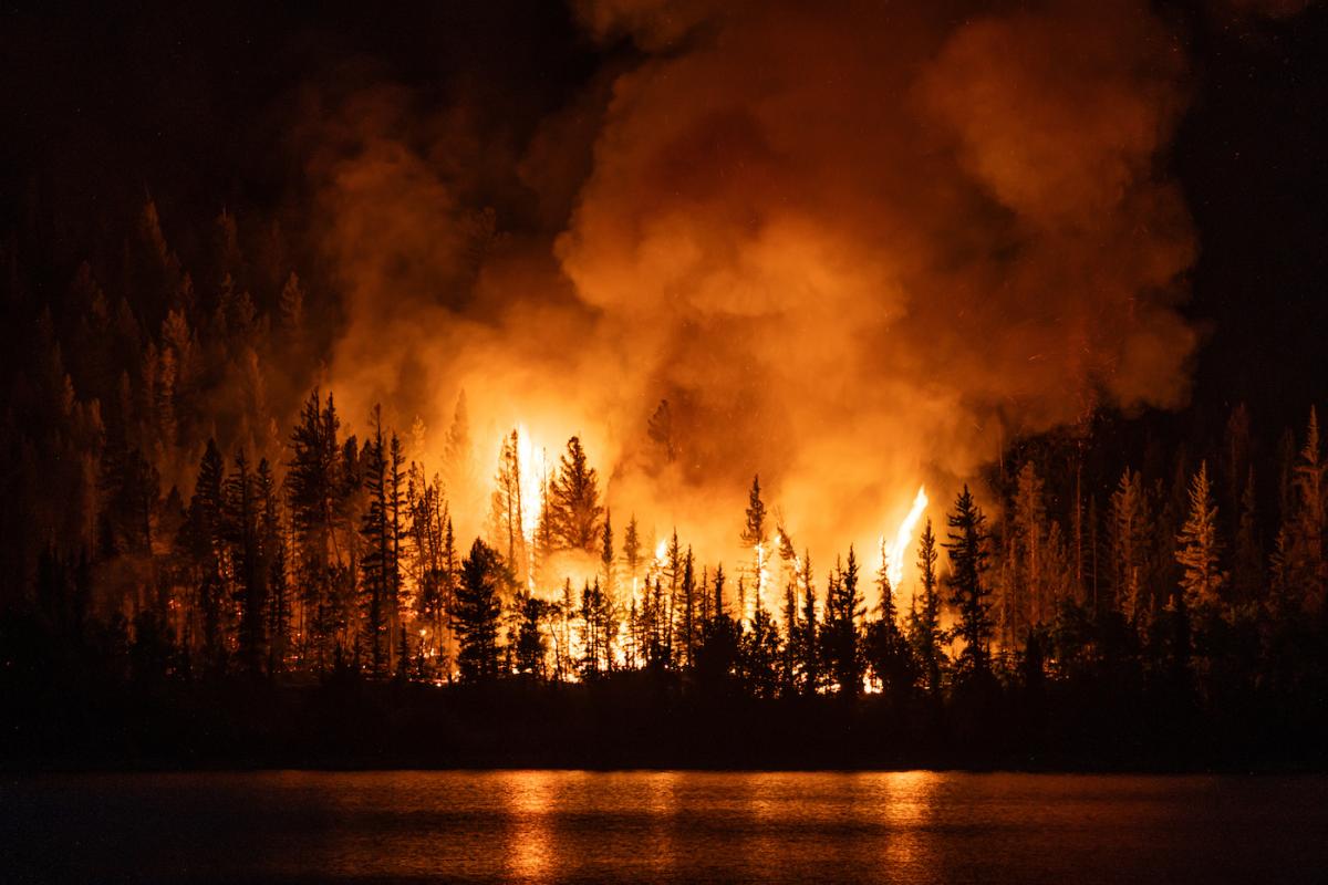 Forest fire near Interlaken, Twin Lakes, Colorado. Photo credit: David W Shaw, Adobe Stock.