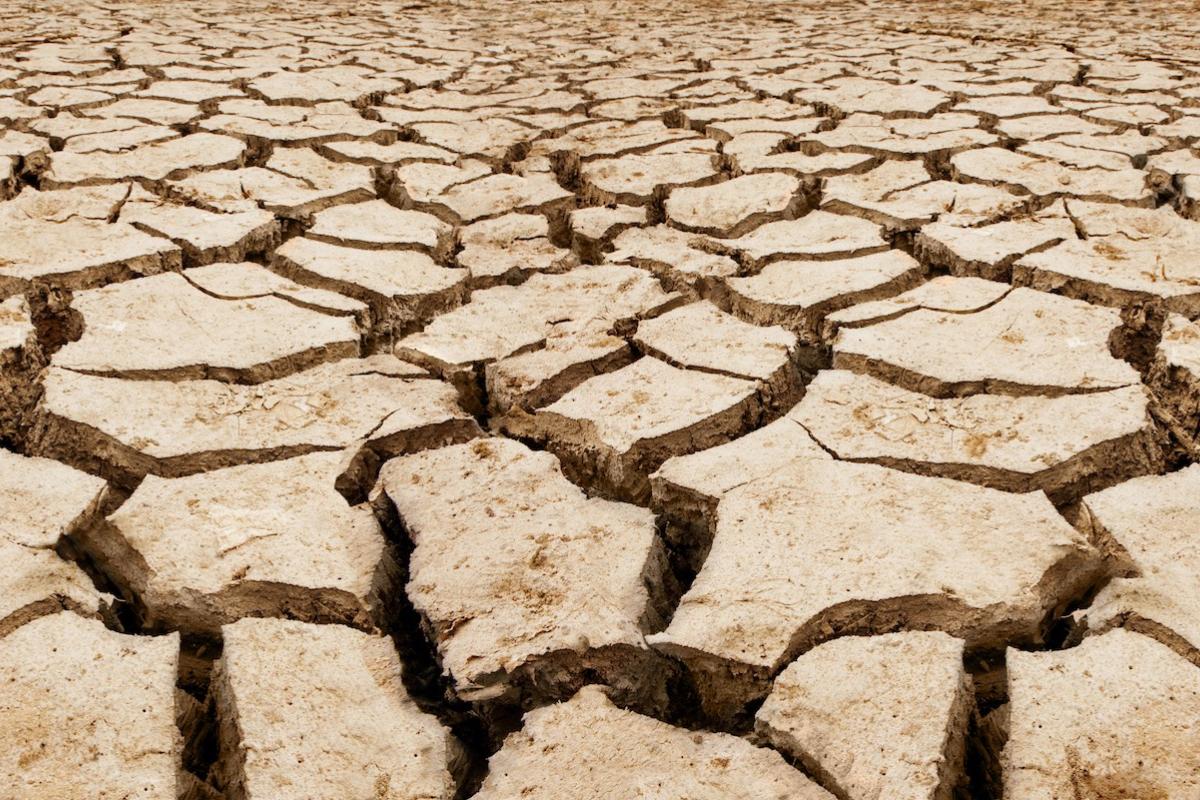 Dry, cracked earth representing drought.