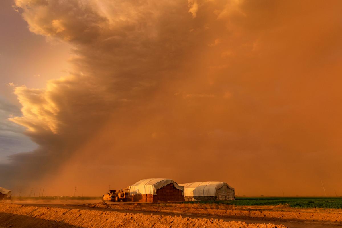 Dust storm over a farm in Arizona, representing drought impacts on air quality that can exacerbate respiratory illnesses. Image credit: Kyle Benne, Shutterstock.