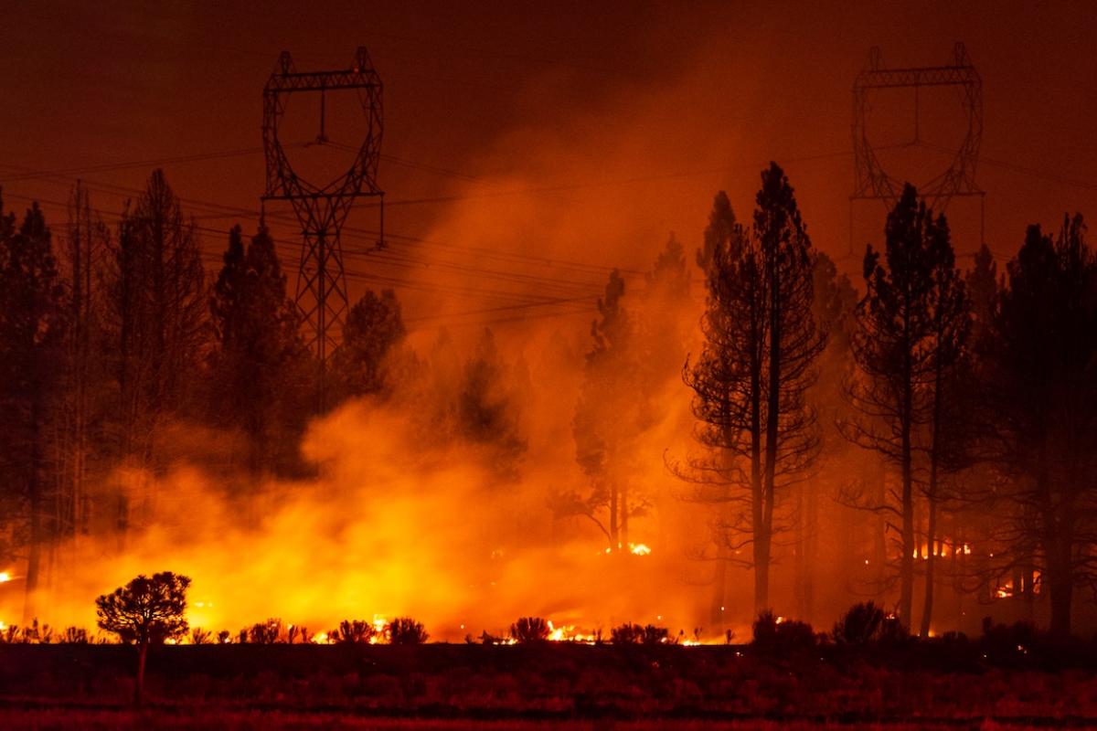 Smoke Rises from Forest Fire. Photo credit: My Photo Buddy, Shutterstock.