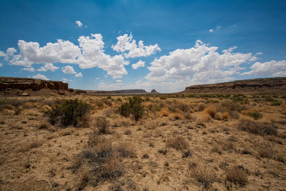 New Mexico desert with dried out brush, representing the impacts of drought on vegetation. Photo credit: Groundrush, Shutterstock.