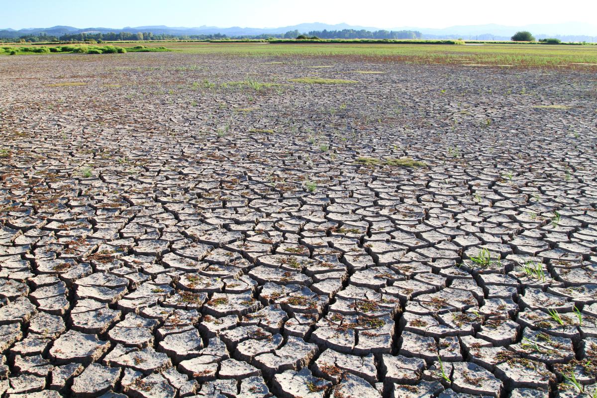 Cracked Mud Flats on a Hot Summer Day, Eugene, Oregon, USA