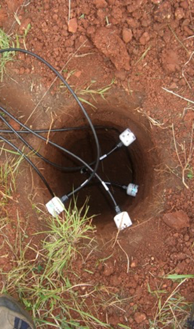 Soil probes seen from above